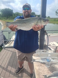 Angler holding a trophy striper at the cleaning station