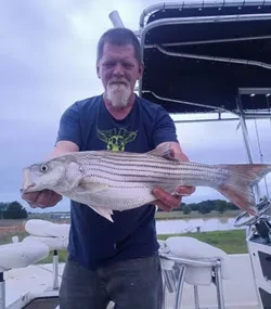 Man holding a large striped bass on the boat