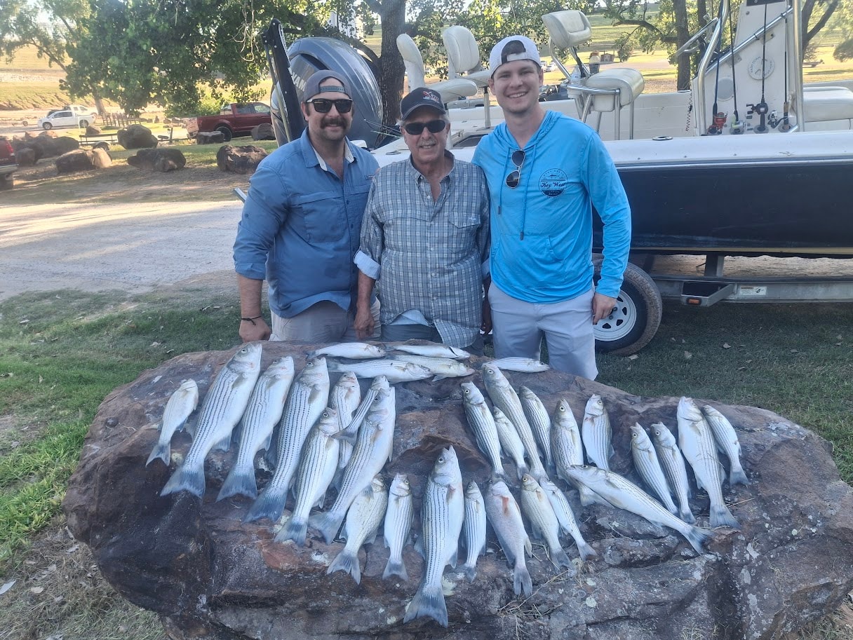 Striped bass on the line