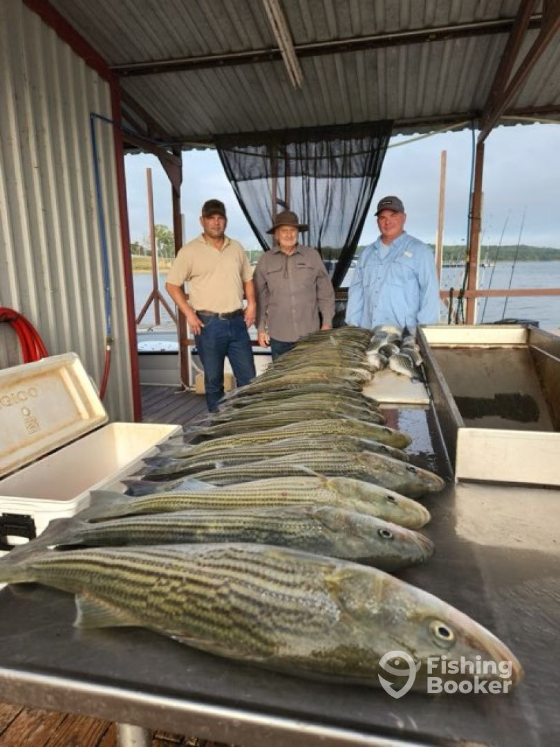 Three anglers with a full table of stripers