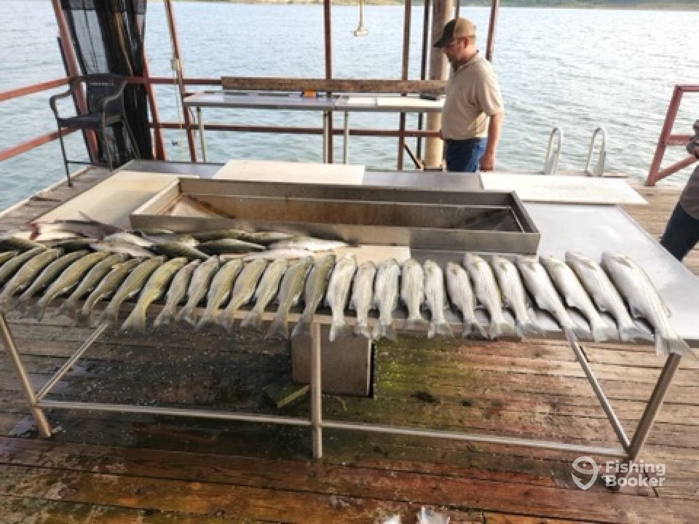 Full cleaning table of striped bass
